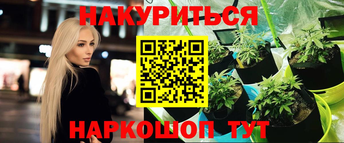 МАРИХУАНА сатива Набережные Челны